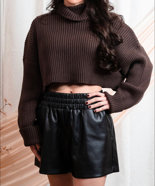 Cropped Turtle Neck Sweater